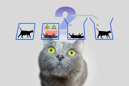تطور الحوسبة الكمومية - قطة شرودنغر